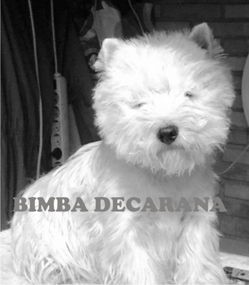 bimba_decarana