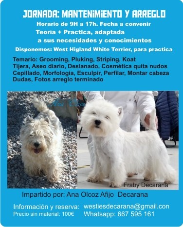 Peluquería canina curso.